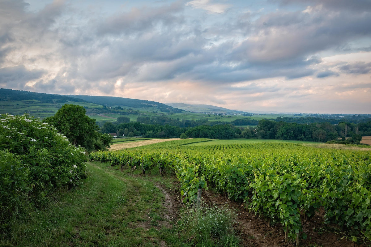 Burgund (Frankreich)